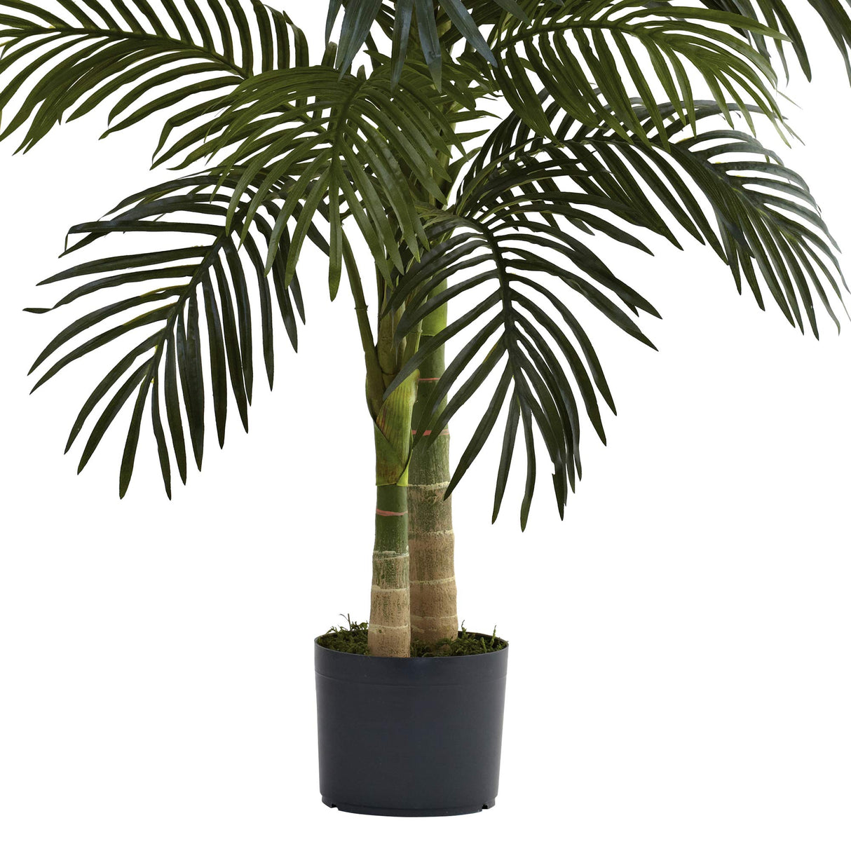 4ft. Golden Cane Palm Artificial Tree