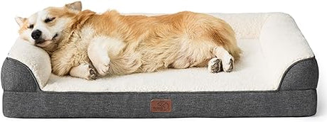 Memory Foam Dog Bed for Medium Dogs - Orthopedic Egg&Memory Foam Dog