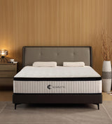 Queen Mattresses,14 Inch Queen Size Mattresses in a Box,Memory Foam Hybrid White & Black Mattress