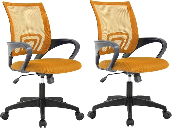 Ergonomic Office Chair Desk Chair Mesh Computer Chair with Lumbar Support Executive