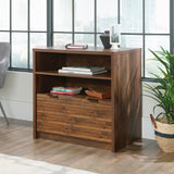 Harvey Park Lateral File, L: 30.87" x H: 19.29" x W: 30.00", Grand Walnut Finish