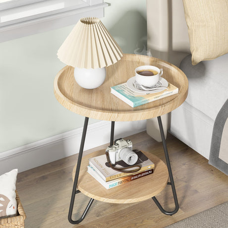 Set of 2 Round Side Table, 2-Tier End Table with Metal Legs