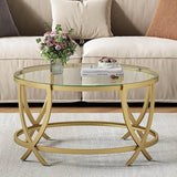 Round Coffee Table with Storage, 2-Tier Glass Coffee Table for Living Room