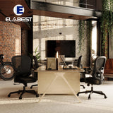 Ergonomic Office Chair with Adjustable Lumbar Support and 3D Armrests