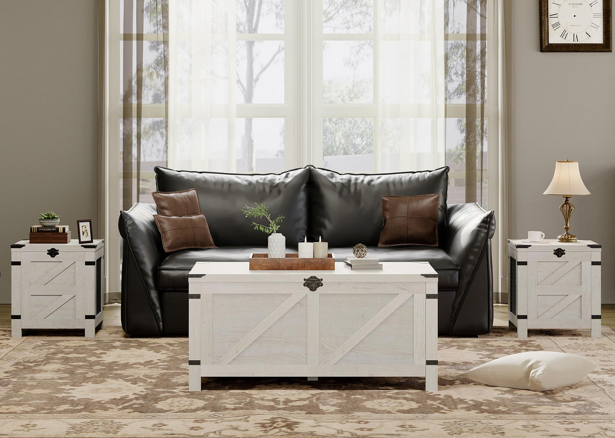 Coffee Table for Living room,Lift Top Coffee Table with Storage,Small Accent Furniture