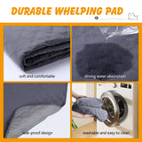 Whelping Box for Dogs - 2 Room Design with Pig Rails