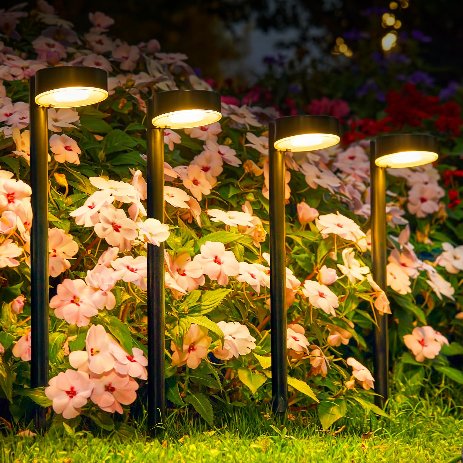 8 Pack Solar Pathway Lights Outdoor, Solar Lights for Outside with Brighter 12 LED