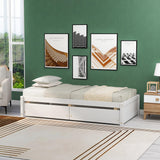 Kali Platform Queen Size Bed, Panel Rectangular Design