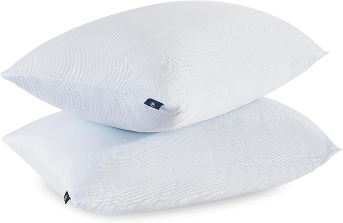 Won't Go Flat King Size Set of 2 Down Alternative Bed Pillows