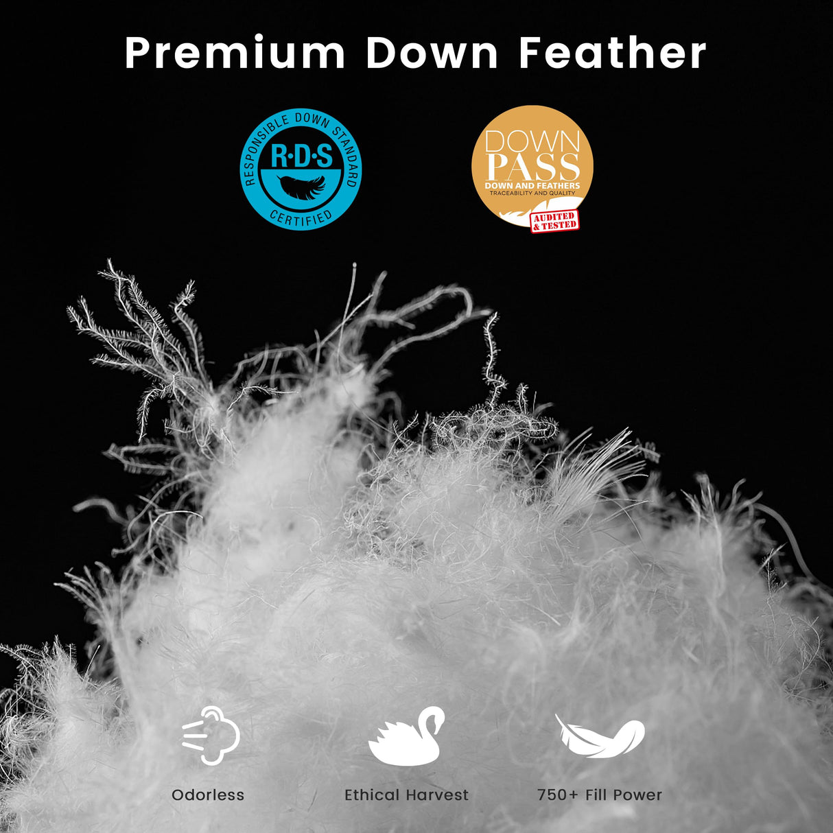 LeWinBedding Luxury Goose Feathers Down Comforter Oversized King Size,All Season Fluffy Duvet Insert,750 Fill Power Hotel Quality Bed Comforter with 8 Tabs(White,120x98 inches)