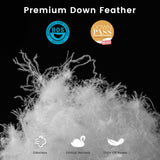 LeWinBedding Luxury Goose Feathers Down Comforter Oversized King Size,All Season Fluffy Duvet Insert,750 Fill Power Hotel Quality Bed Comforter with 8 Tabs(White,120x98 inches)