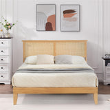 Rattan Bed Frame Queen with LED Lights