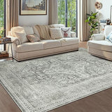 Area Rug Living Room Rugs: 8x10 Abstract Soft Large Carpet with Low Pile9