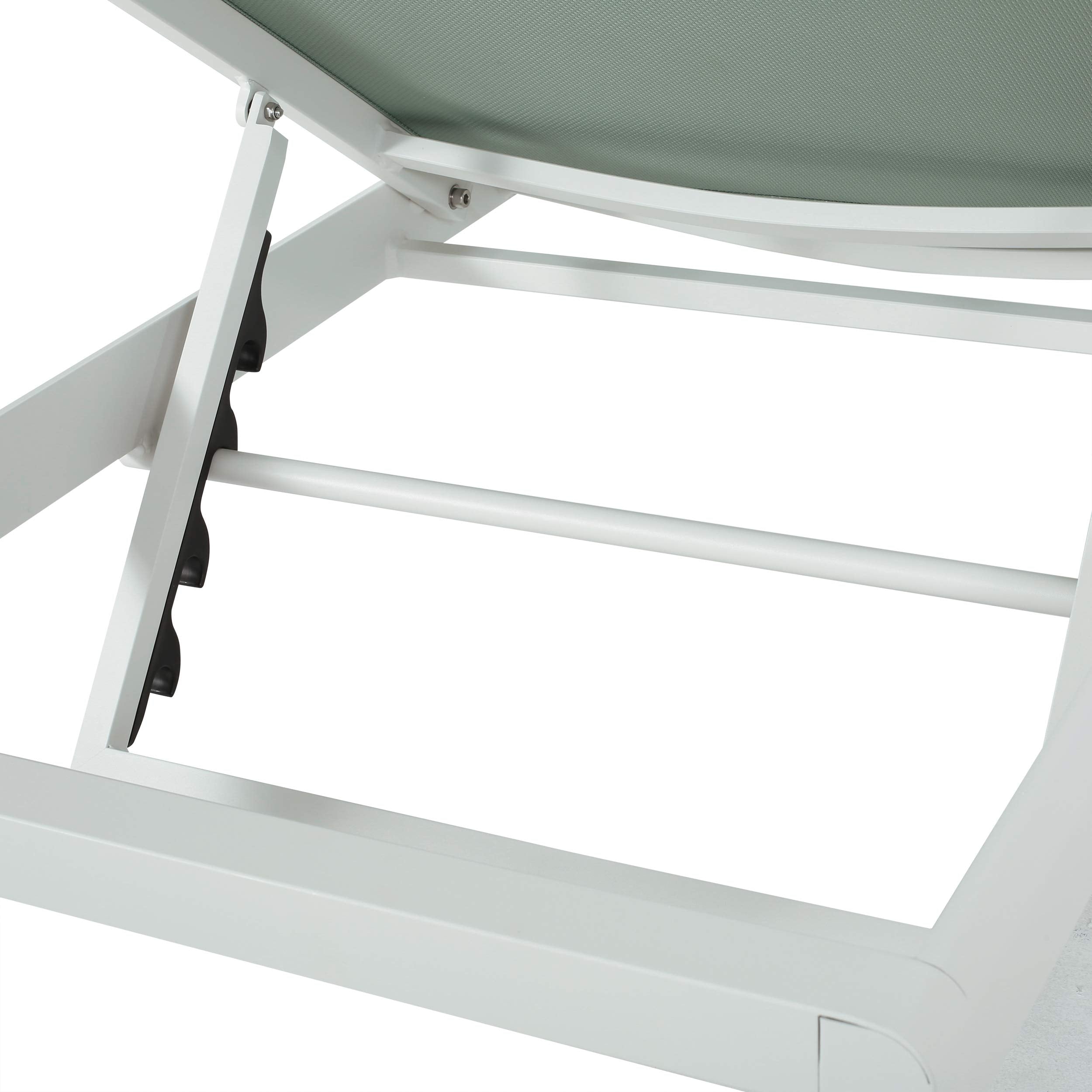 Vanessa Coral Outdoor Chaise Lounges (Set of 2), Green and White