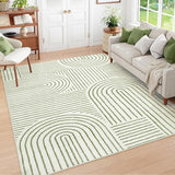 Abstract Washable Area Rug, 5x7 Rug for Bedroom Non-Slip Soft Living Room Rug,