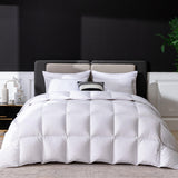 Luxury Goose Feathers Down Comforter Twin Size, 750 FP Fluffy All Season Duvet Insert