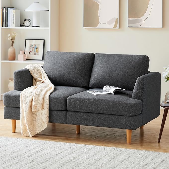 Loveseat - Mid Century Modern 65" Sofa, 2-Seat Upholstered Couch