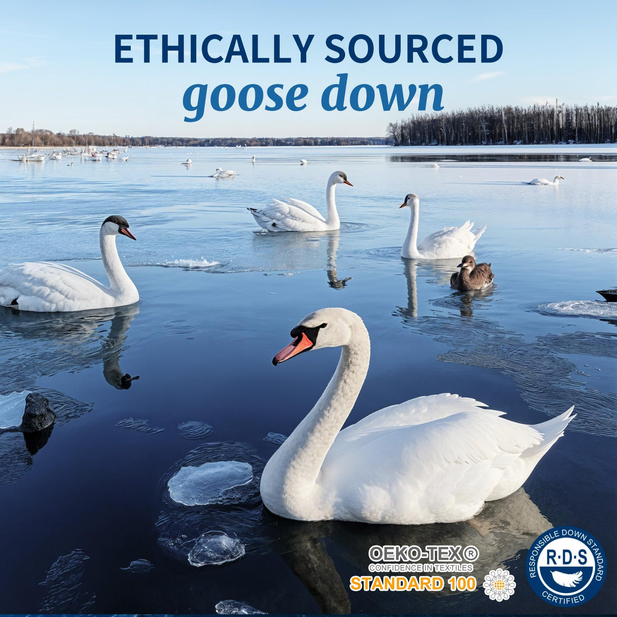 AiAngu Canadian Luxury Goose Down Pillow Queen Size - 900 Fill Power, 100% Cotton with Teflon Shell- Ultra Comfort Sleep Pillows - Bed Pillows for Back, Stomach, Side Sleeper(White,Queen(Pack of 1))