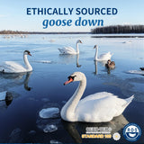 AiAngu Canadian Luxury Goose Down Pillow Queen Size - 900 Fill Power, 100% Cotton with Teflon Shell- Ultra Comfort Sleep Pillows - Bed Pillows for Back, Stomach, Side Sleeper(White,Queen(Pack of 1))