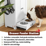 Dog Feeding Station with Storage Cabinet and 2 Elevated Bowls