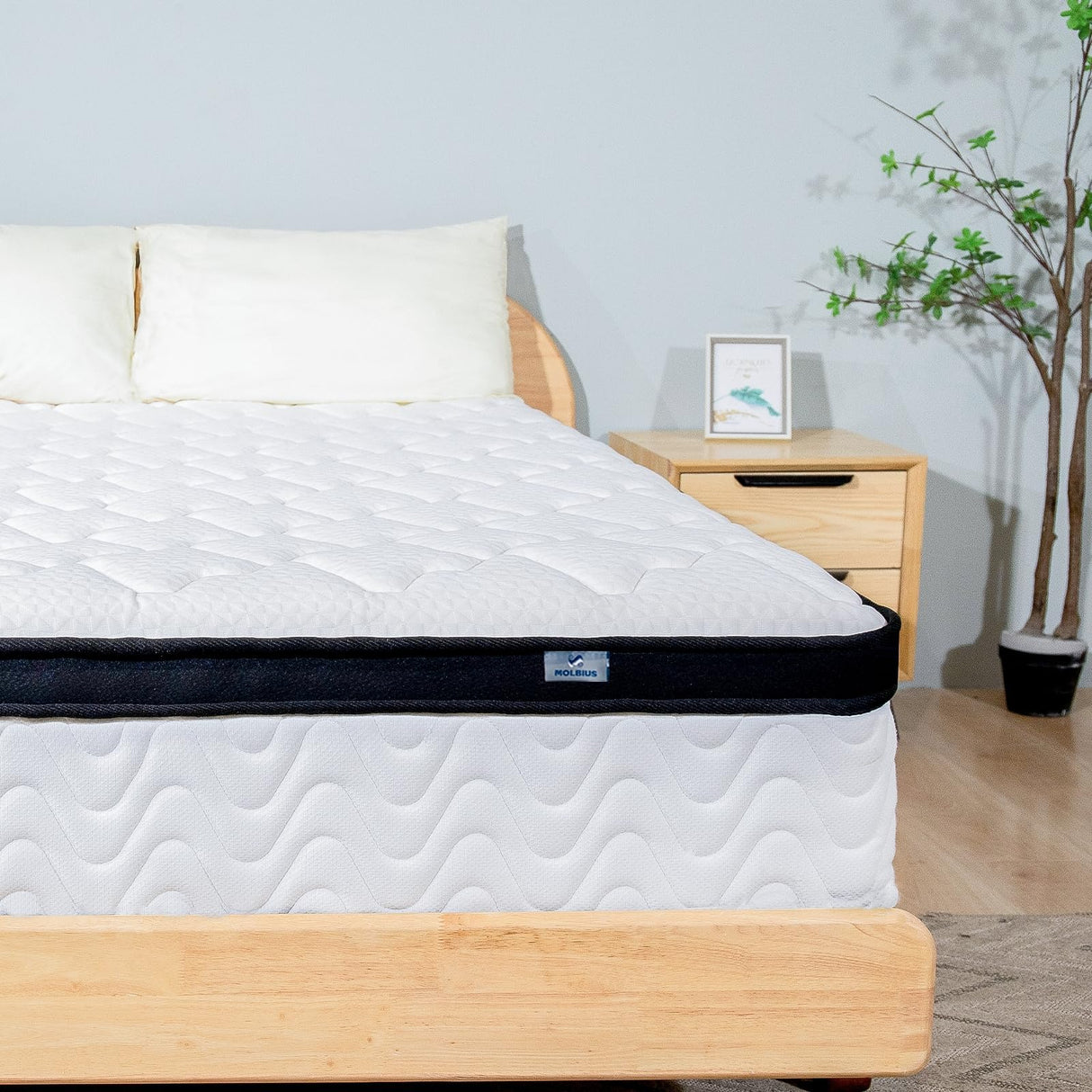 Queen Mattress12 Inch Queen Size Hybrid Mattresses in a BoxMedium Firm Memory Foam