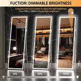 Full Length Mirror with Lights, 56" x 16" LED Floor Mirror, Full Body Dressing Standing