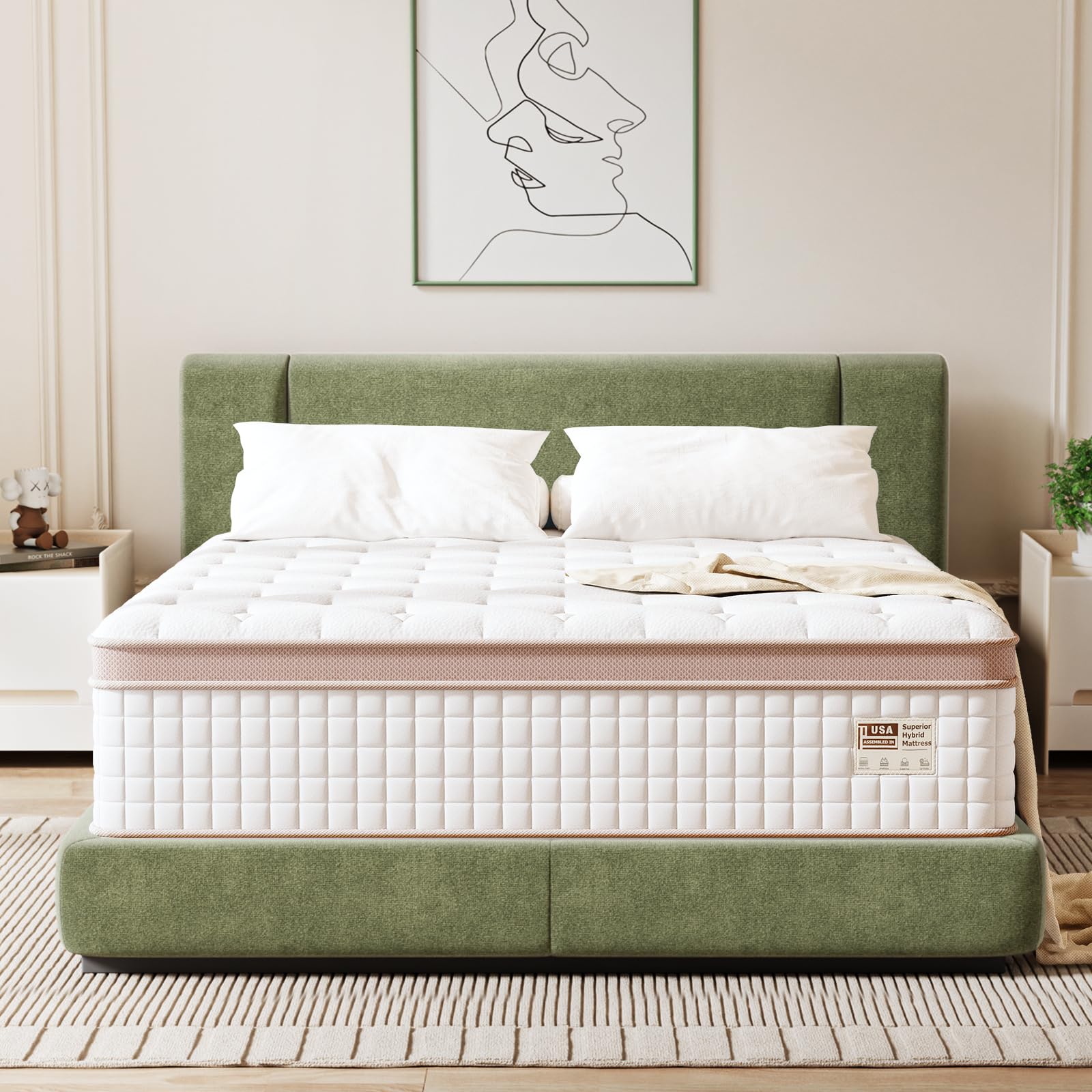 Queen Mattress 14 Inch - Premium Hybrid Mattress In a Box for Back & Lumbar Support