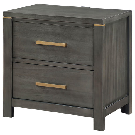 Benjara Ren Nightstand, 2 Drawers, Tone Accents, Bar Handles, Dark, Gray and Brass