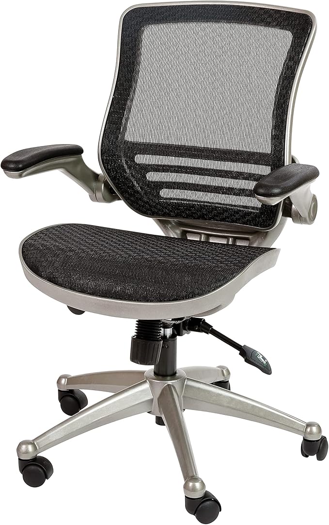 Warfield Mid-Back Transparent Black Mesh Executive Swivel Office Chair with Black Frame