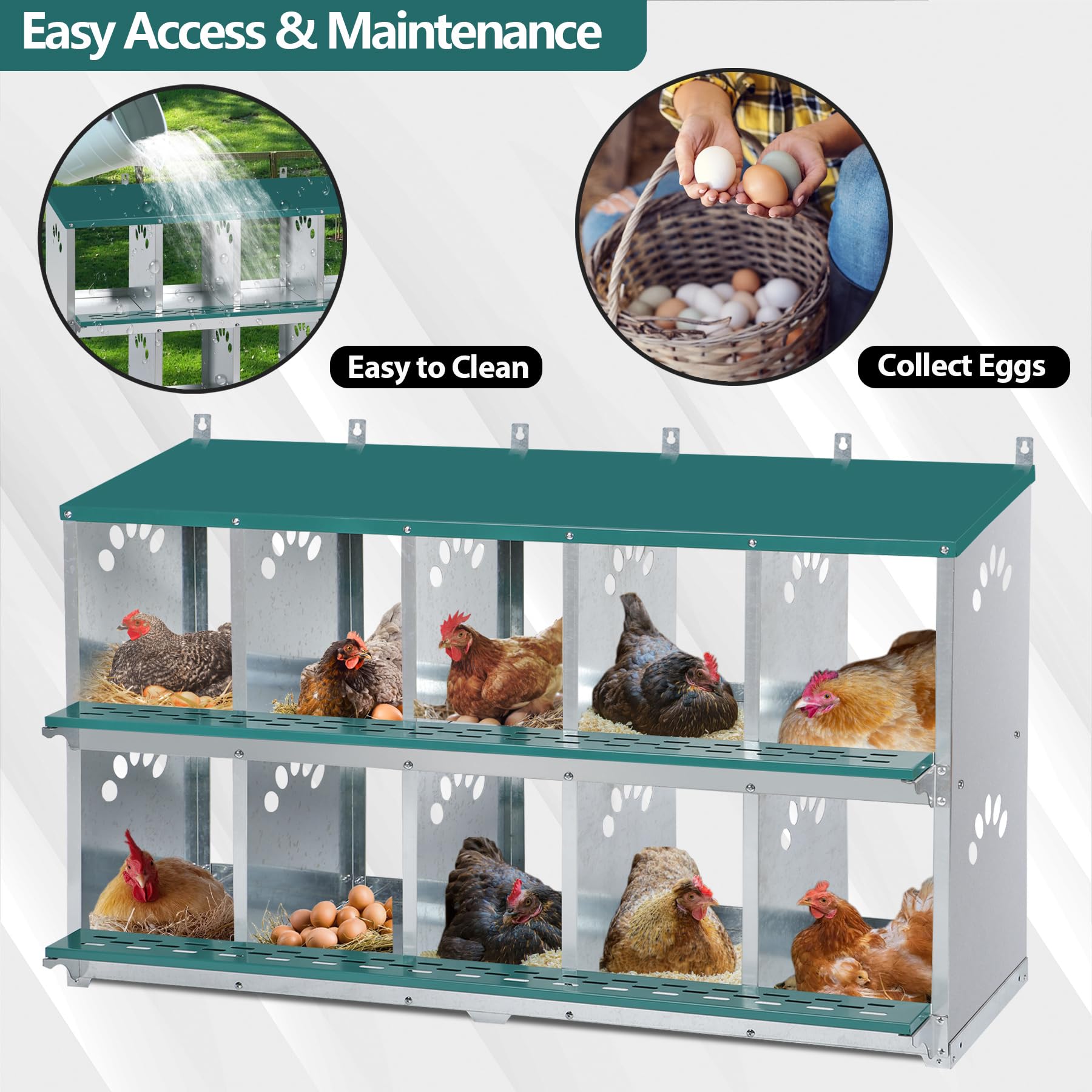 Chicken Nesting Box, 10 Compartment Nesting Box, 10 Room Metal Nesting Boxes