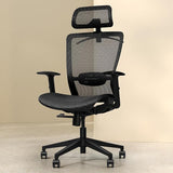 Office Chair, Comfy Ergonomic Back Support, Computer Desk Chair with Comfy Seat