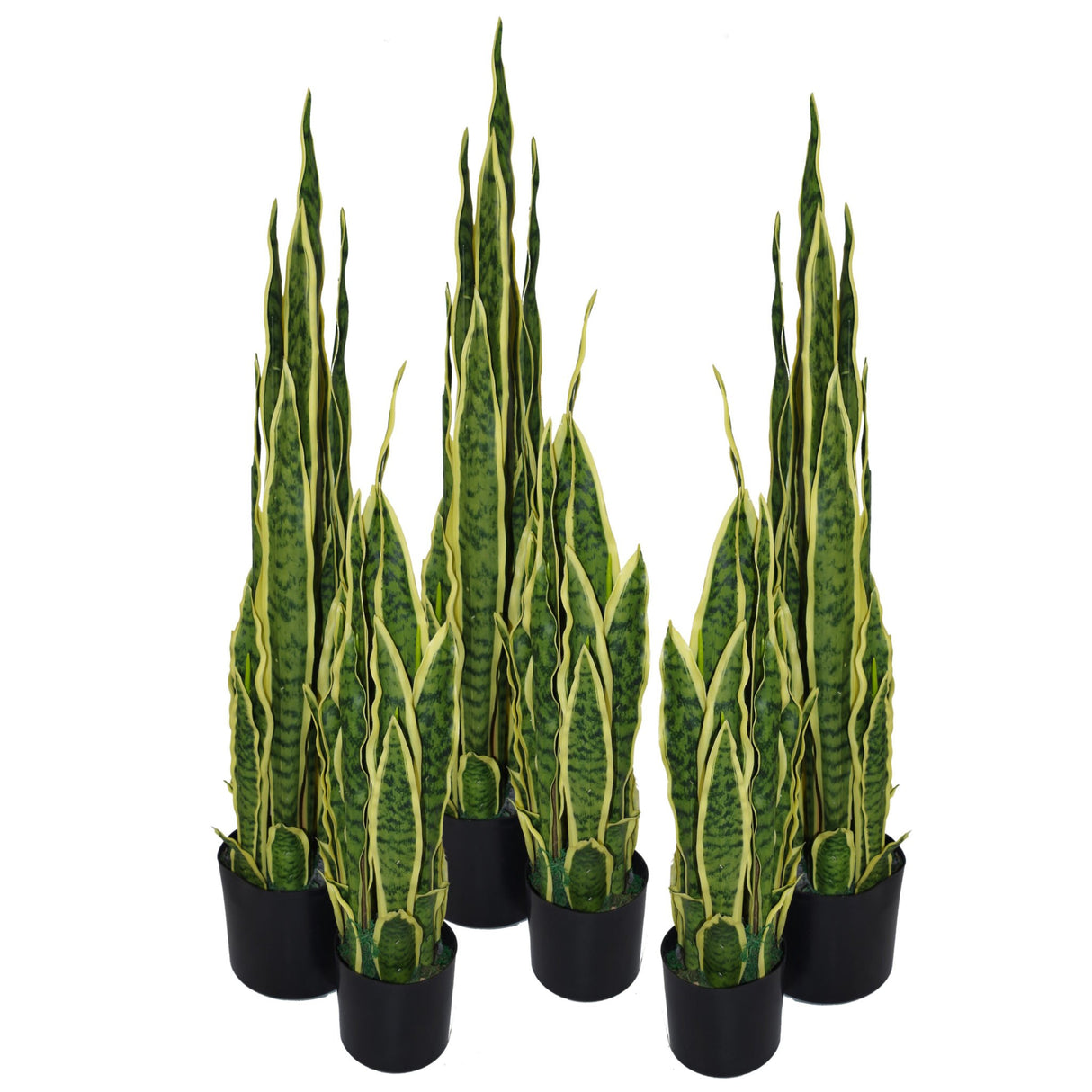 Artificial Tropical Snake Plant, 90cm Sansevieria