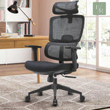 Premium Mesh Executive Home Office Desk Chair, with Ergonomic Lumbar, Black