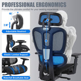 Ergonomic Office Chair with Lumbar Support, High Back Home Office Chairs