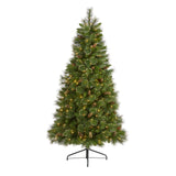 6ft. Golden Tip Washington Pine Artificial Christmas Tree with 250 Clear Lights