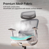 P2 Ergonomic Office Chair with 3D Lumbar Support & Footrest