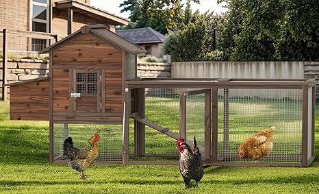 Outdoor Large Chicken Coop for Chickens, Wooden Hen house, Chicken Cage