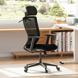 Office Chair, Comfy Ergonomic Back Support, Computer Desk Chair with Comfy Seat