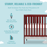 Synergy 5-In-1 Convertible Crib In Cherry, Greenguard Gold Certified