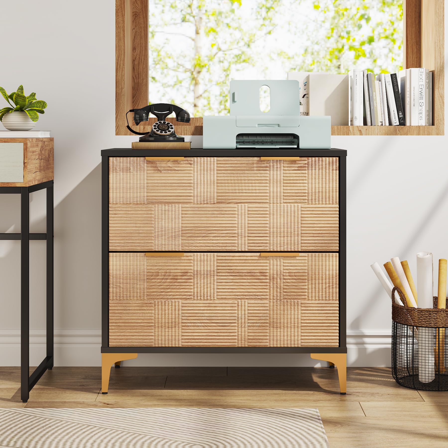 Modern File Cabinet, 2-Drawer Lateral Filing Cabinet with Adjustable Hanging Bar