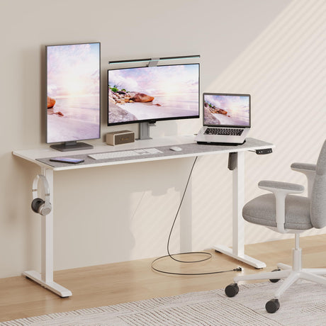 55 x 24 inch Adjustable Electric Standing Desk (3AC, USB, Type-C)