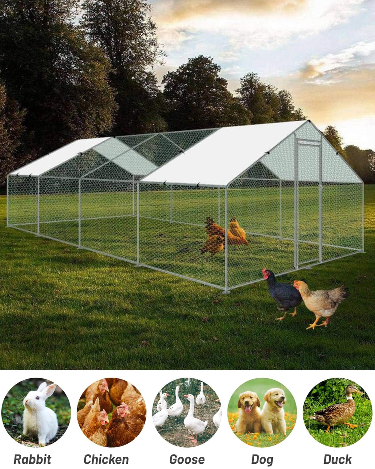 Large Chicken Coop, Metal Chicken Run for Yard