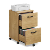 2-Drawer File Cabinet, Filing Cabinet for Home Office, Small Rolling File Cabinet