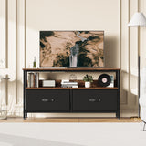 Stand Dresser with Storage, TV Console for Living Room, 2-Drawer Entertainment Center