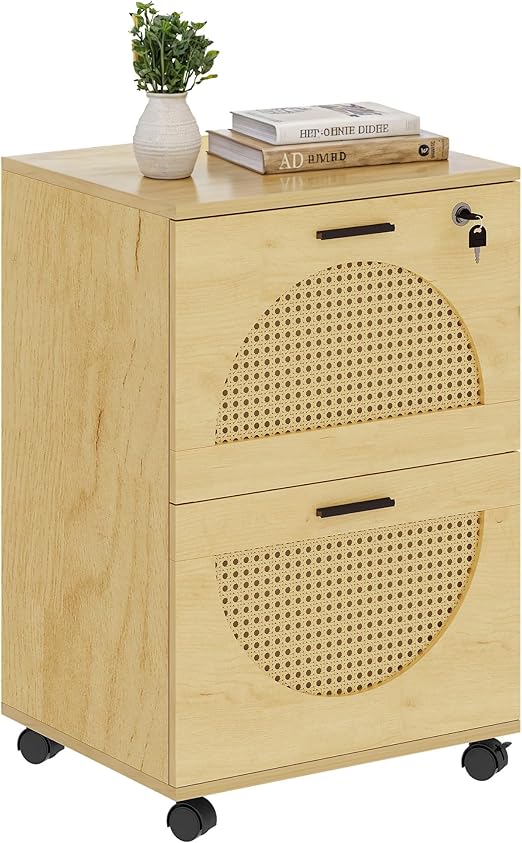 2 Drawer File Cabinet with Charging Station, Rattan Filing Cabinet with Lock