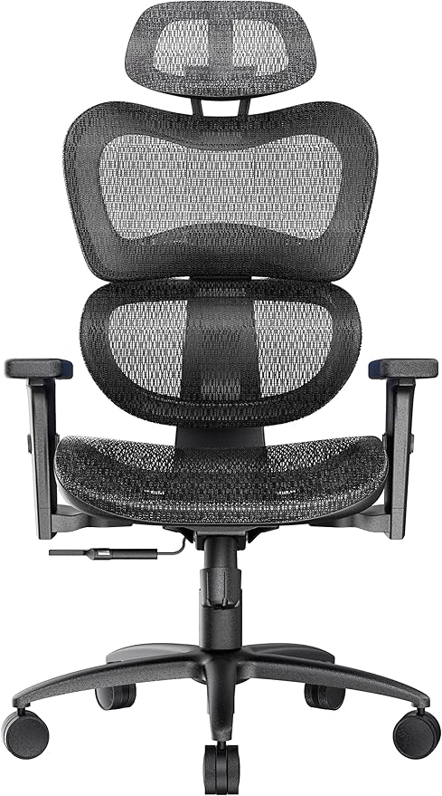 Mesh Ergonomic Office Chair Lumbar Support, High Back Mesh Computer Chair with Adjustable