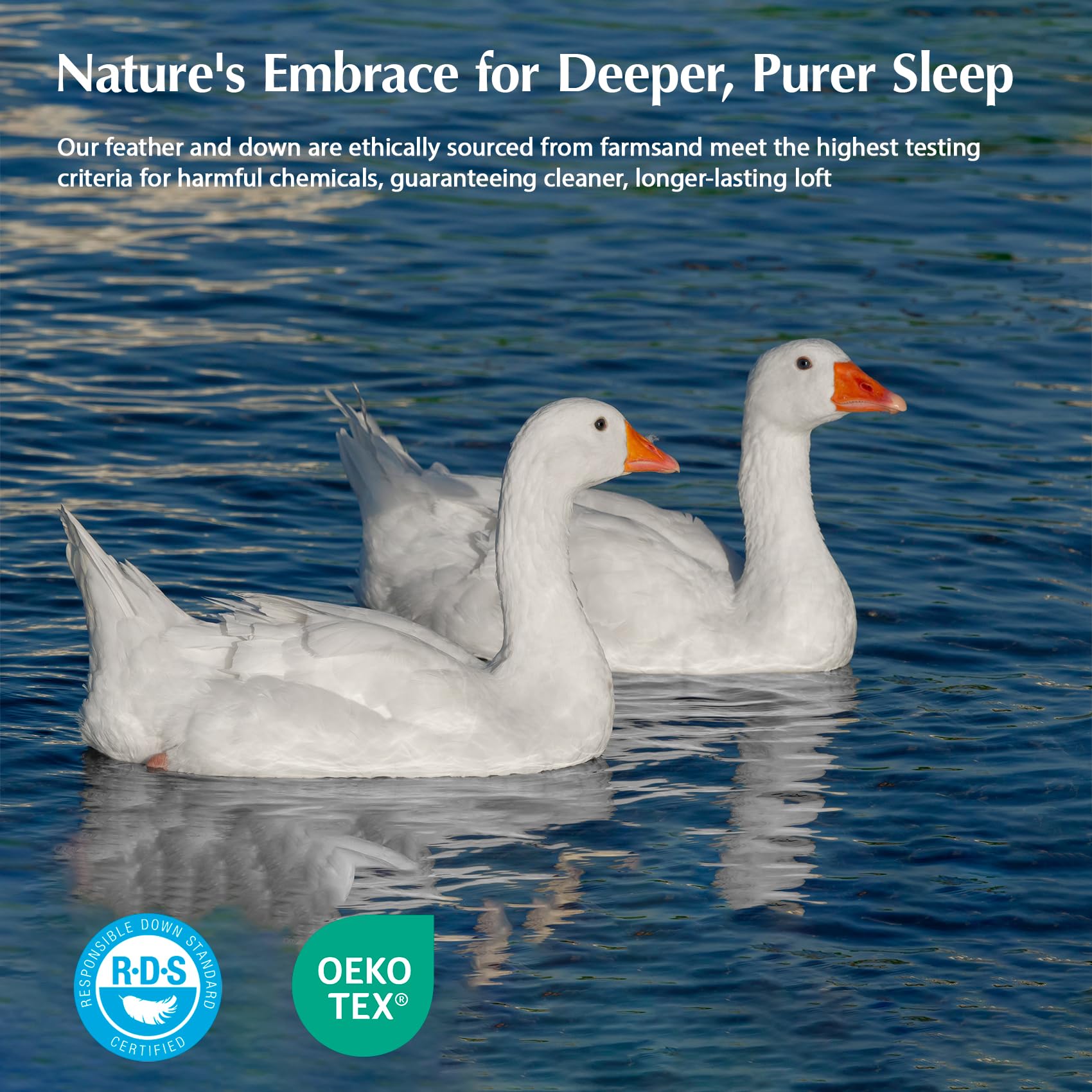 Pacific Coast Down Comforters Twin Size, 100% Cotton Duvet Insert, Extra Fluffy White Comforter, Ultra-Soft, Breathable, All Season Hotel Luxury Bedding Comforters, 8 Corner & Center Loops (68"x90")