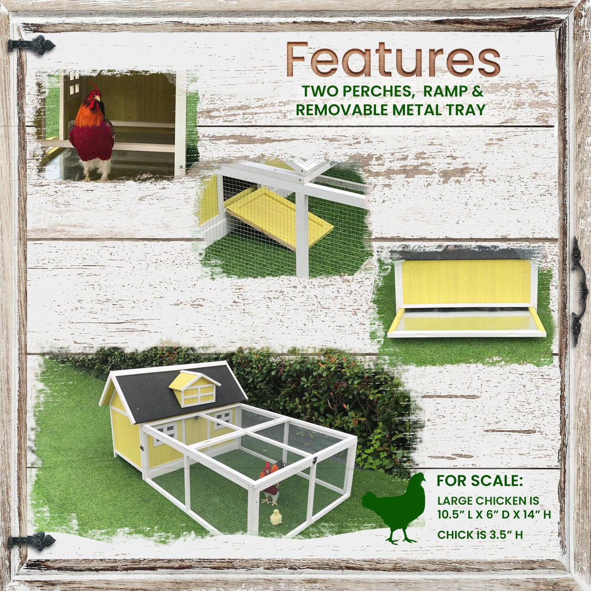 Outdoor Wooden Chicken Coop with Ramp, Large Wire Mesh Chicken Run