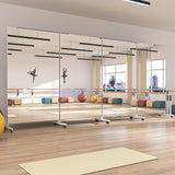 Home Gym Mirror 360° Swivel on Wheels, 67" x 40" Extra Large Full Body Rolling Mirror
