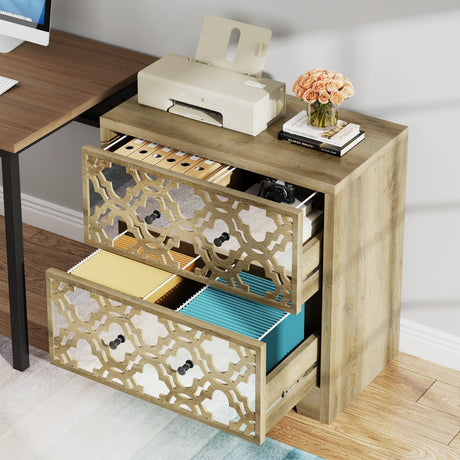 Rustic-Modern File Cabinet for Home Office, 2-Drawer File Cabinet with Mirrored Finish